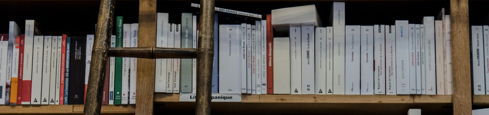 Buscador de toponimia