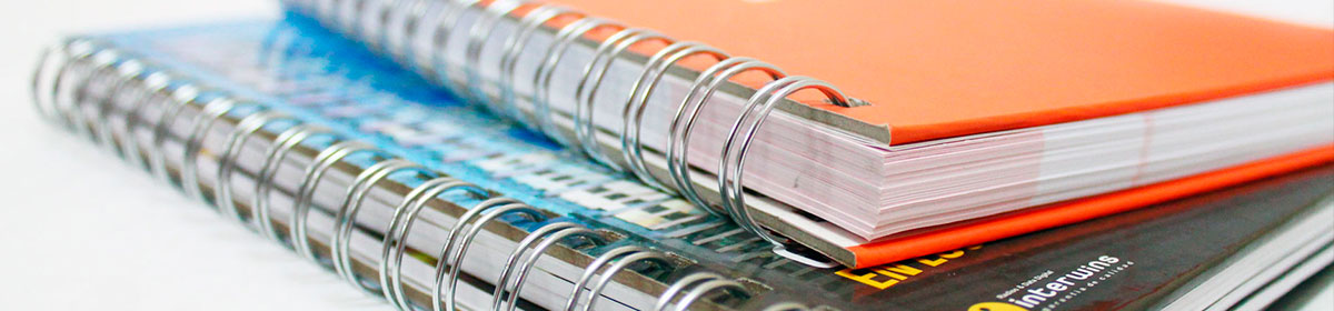 Catálogu bibliográficu