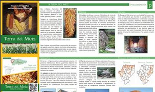 llinguastur.news.imagen - A Fundación Parque Histórico del Navia edita el catálogo «Terra del meiz»